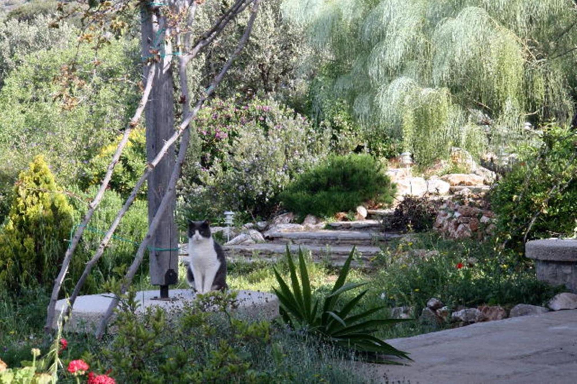 To The Garden Guest House Angairia Exterior photo